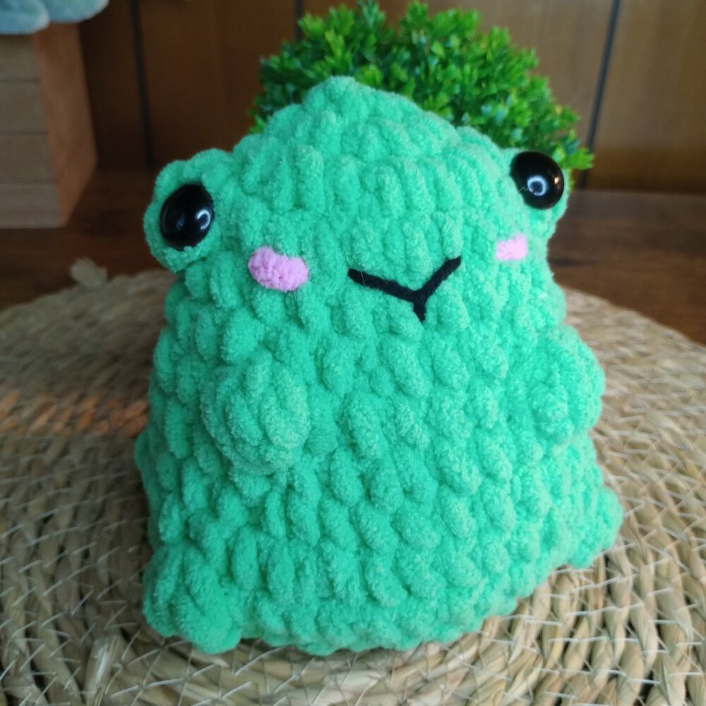 Cheeky Frog! Crochet Plushie Handmade by Me.